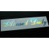 Abused Daily Silver Hologram Neo Mirror Chrome Car Window Bumper Sticker Decal