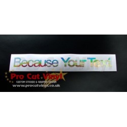 Your Custom Text BECAUSE Silver Hologram Neo Mirror Chrome Car Window Bumper Sticker Decal