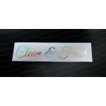 Clean & Fresh Silver Hologram Neo Mirror Chrome Car Window Bumper Sticker Decal