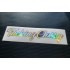 Fuking Classy Vinyl Die Cut Window Bumper Sticker Decal Graphic Silver Gold Hologram Neo Chrome