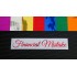 Financial Mistake Chrome Mirror Colours Car Window Bumper Sticker Decal