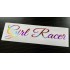 Girl Racer Rose Gold Pink Hologram Neo Mirror Chrome Car Window Bumper Sticker Decal