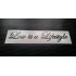 Low is a Lifestyle Glitter Metalflake Car Bumper Window Sticker Decal