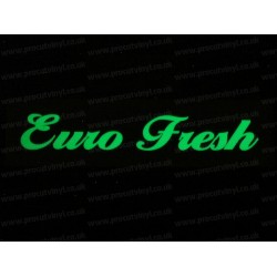 Euro Fresh Small to Large Glow in the Dark Luminescent Stickers Decals x1