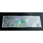 Jules Bianchi #JB17 RIP Memorial Tribute Silver Hologram Neo Mirror Chrome Car Window Bumper Sticker Decal ref:8