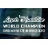 Lewis Hamilton 2020 7 Times World Champion Car Window Bumper Sticker Decal d2