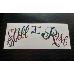 Lewis Hamilton 'STILL I RISE' 2020 World Champion Car Rainbow Glitter Vinyls Window Bumper Sticker Decal