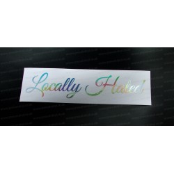 Locally Hated Silver Hologram Neo Mirror Chrome Car Window Bumper Sticker Decal