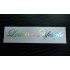 Low is a Lifestyle Silver Hologram Neo Mirror Chrome Car Window Bumper Sticker Decal