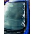 Low Standards Car Window Bumper Sticker Decal