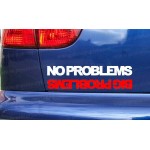 No Problems Big Problems Funny Novelty Car Window Bumper Sticker Decal