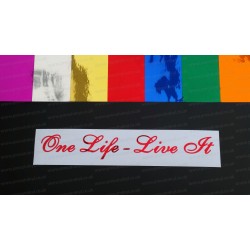 One Life Live It Chrome Mirror Colours Car Window Bumper Sticker Decal