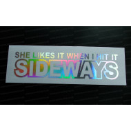 She Likes It When I Hit It Sideways Silver Hologram Neo Mirror Chrome Car Window Bumper Sticker Decal