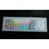 She Likes It When I Hit It Sideways Silver Hologram Neo Mirror Chrome Car Window Bumper Sticker Decal