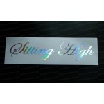 Sitting High Silver Hologram Neo Mirror Chrome Car Window Bumper Sticker Decal