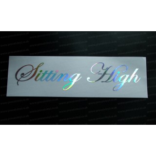 Sitting High Silver Hologram Neo Mirror Chrome Car Window Bumper Sticker Decal