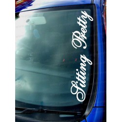 Sitting Pretty Car Window Bumper Sticker Decal