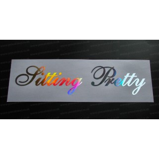 Sitting Pretty Silver Hologram Neo Mirror Chrome Car Window Bumper Sticker Decal
