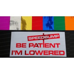 Speedbump Be Patient I'm Lowered Chrome Mirror Colours Car Window Bumper Sticker Decal
