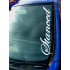 Stanced Car Window Bumper Sticker Decal