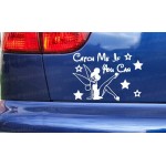 Tinkerbell Fairy CATCH ME IF YOU CAN Novelty Funny Car Bumper Window Sticker Decal