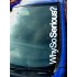 Why So Serious? Funny Novelty Car Window Bumper Sticker Decal