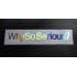 Why So Serious? Silver Hologram Neo Mirror Chrome Car Window Bumper Sticker Decal