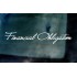 Financial Obligation Signature Style Car Window Bumper Custom Sticker Decal