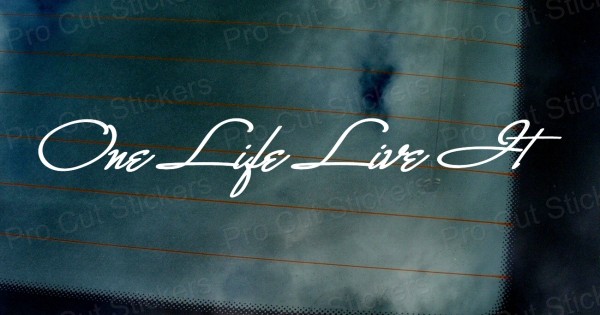 One Life Live It Signature Style Car Window Bumper Custom Sticker Decal