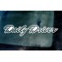 Daily Driver Vinyl Die Cut Window Bumper Sticker Decal Graphic