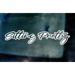 Sitting Pretty Vinyl Die Cut Window Bumper Sticker Decal Graphic