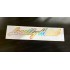 Locally Hated Vinyl Die Cut Window Bumper Sticker Decal Graphic Silver Gold Hologram Neo Chrome