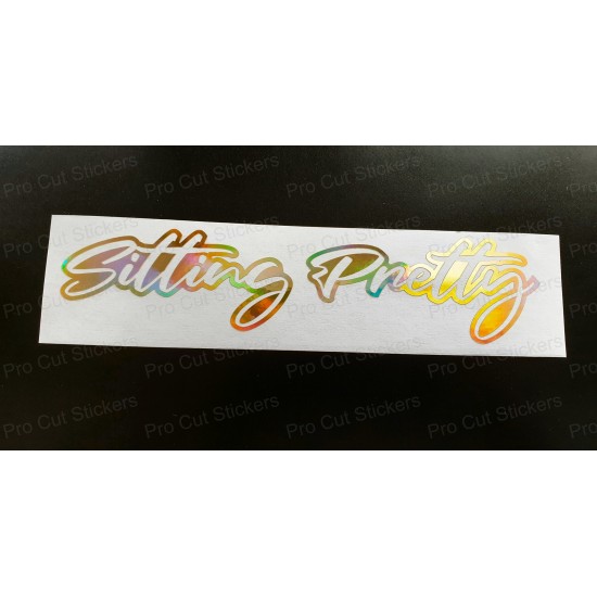 Sitting Pretty Vinyl Die Cut Window Bumper Sticker Decal Graphic Silver Gold Hologram Neo Chrome