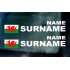 Rally Tag Surname Name Stickers Decals Welsh Wales Dragon Flag