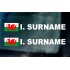 Rally Tag Surname Name Stickers Decals Welsh Wales Dragon Flag